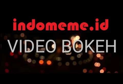 Www Xnxvidvideocodecs Com American Express 9bitazqan69qjm Shop For What You Want And We Wi The Best Undercut Ponytail