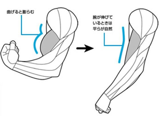 無料イラスト画像 新着腕 曲げる 筋肉 イラスト
