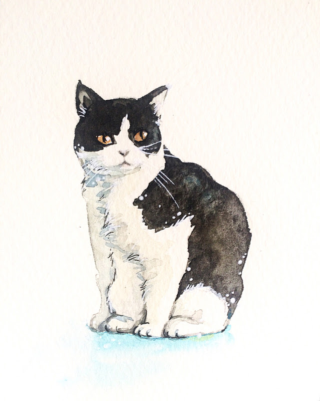 上白黒 猫 イラスト 花の画像