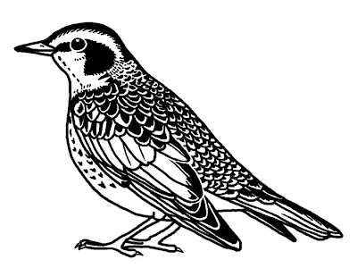 【印刷可能】 花 鳥 イラスト 白黒 857782