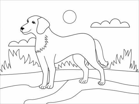 To make a nice clock picture. Dog Coloring Page Free Printable Coloring Pages