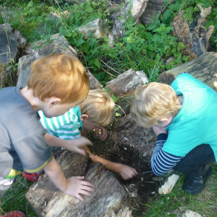 Children enjoying a mini-beast hunt in the gardens