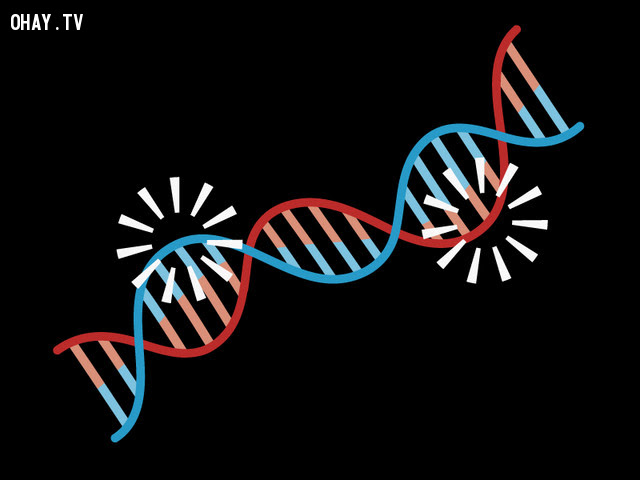 9. Mã gene thay đổi,cơ thể con người,vũ trụ