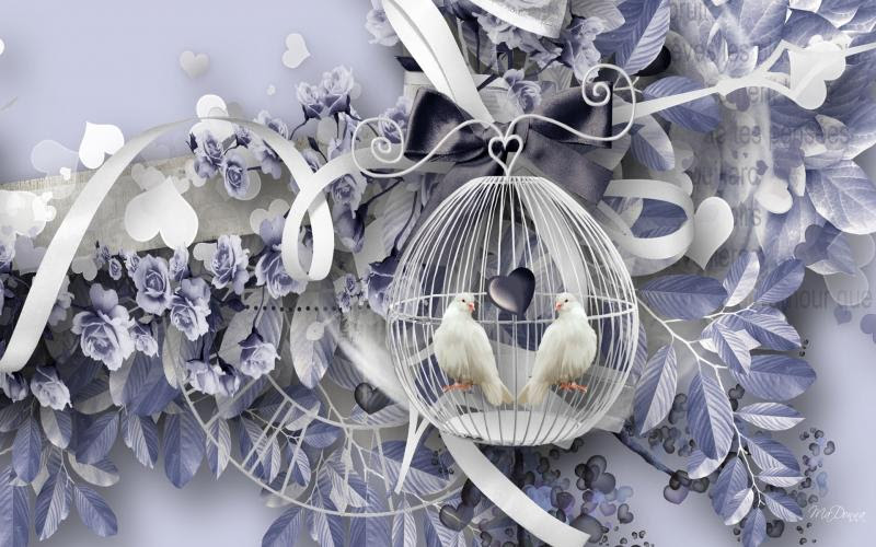 Terkukur walpeper / contact terkukur berapi official on messenger. Hd Doves In Blue Wallpaper Download Free 113220