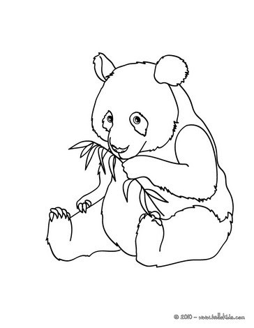 And today, here is the very first impression. Wild Animal Coloring Pages 129 All The Wild Animals Of The World Coloring Pages Jungle Animals Online Coloring Book For Kids