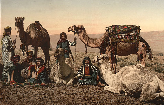 I want to understand how get a camel hump with trigonometry, with some parameters. How Much Water Does A Camel S Hump Hold Library Of Congress