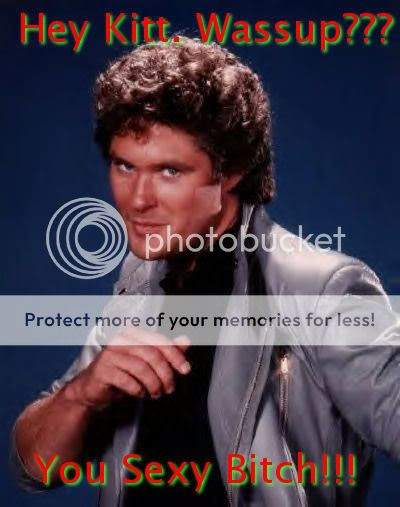 Hasselhoff Pictures, Images and Photos