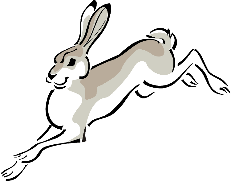 If you find any inappropriate image content on pngkey.com, please contact us and we will take appropriate action. Jack Rabbit Transparent Background Clip Art Library
