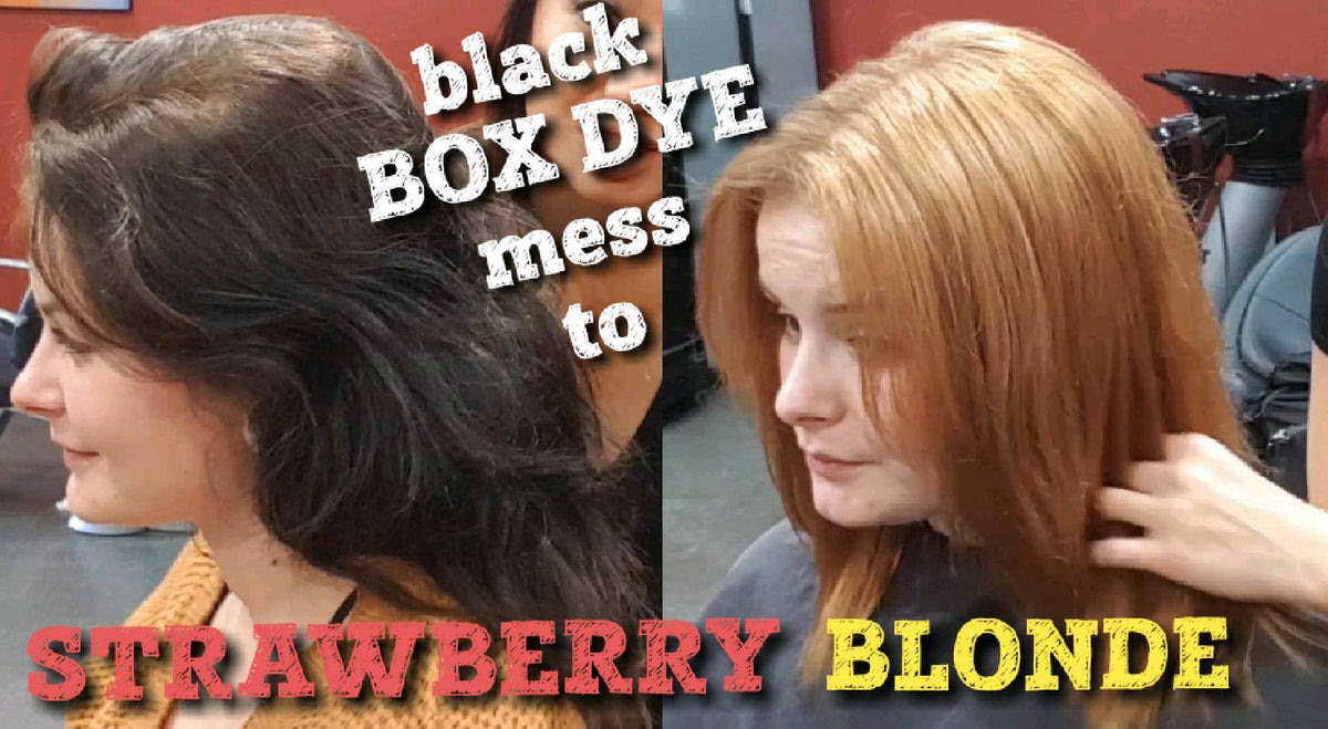 Does color oops work ? Color Correction From Black To Strawberry Blonde Nvenn Hair And Beauty