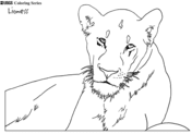 2) click on the coloring page image in the bottom half of the screen to make that frame active. Lions Coloring Pages Free Coloring Pages