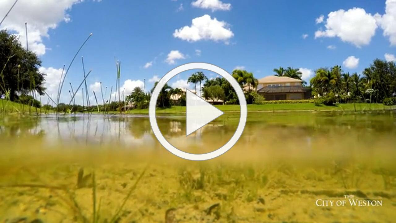 Weston's Stormwater Management System of Lakes &amp; Canals