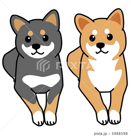 すべてのイラスト画像 トップ100柴犬 イラスト 書き方 簡単