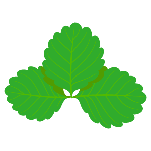 美しい花の画像 トップ100はっぱ イラスト