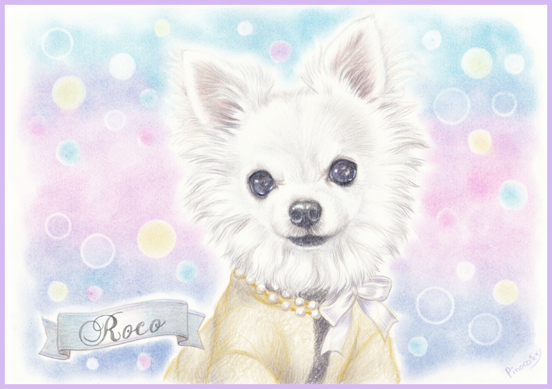 50 かわいい チワワ イラスト リアル ただのディズニー画像