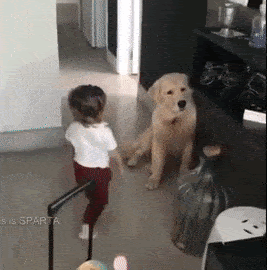 最高犬 おもしろ Gif アニメ画像