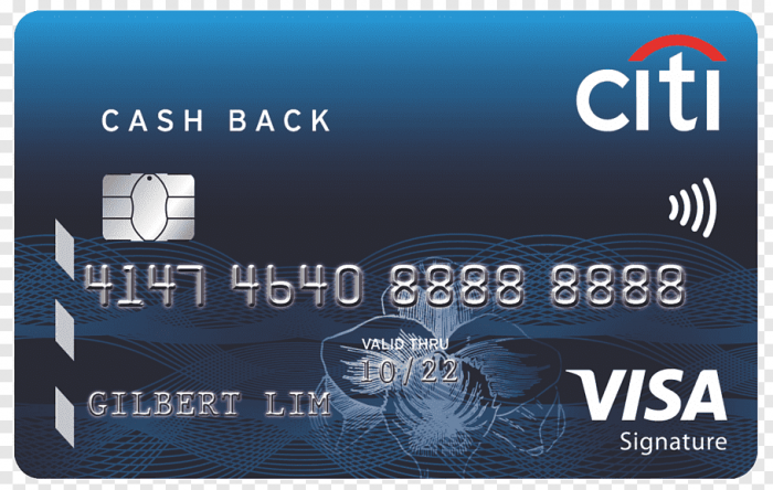 One of the top features of this credit card would be easy bill payment plans. How To Apply For Citi Cash Back Visa Card Storyv Travel Lifestyle