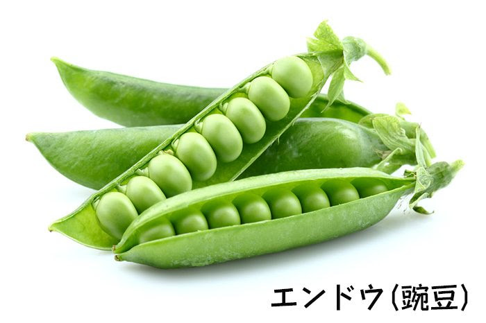 上えん どう 豆 種類 最高の花の画像