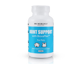 Pet Joint Support