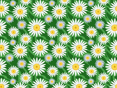 すべての花の画像 マーガレット 壁紙 Iphone