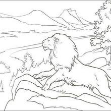 Use the hello kids' tools to print the coloring sheet or color it online. The Lion Aslan Coloring Pages Hellokids Com