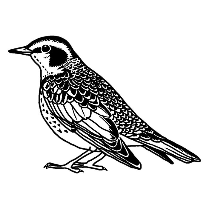 印刷可能 鳥 イラスト 白黒 3077 鳥 イラスト 白黒