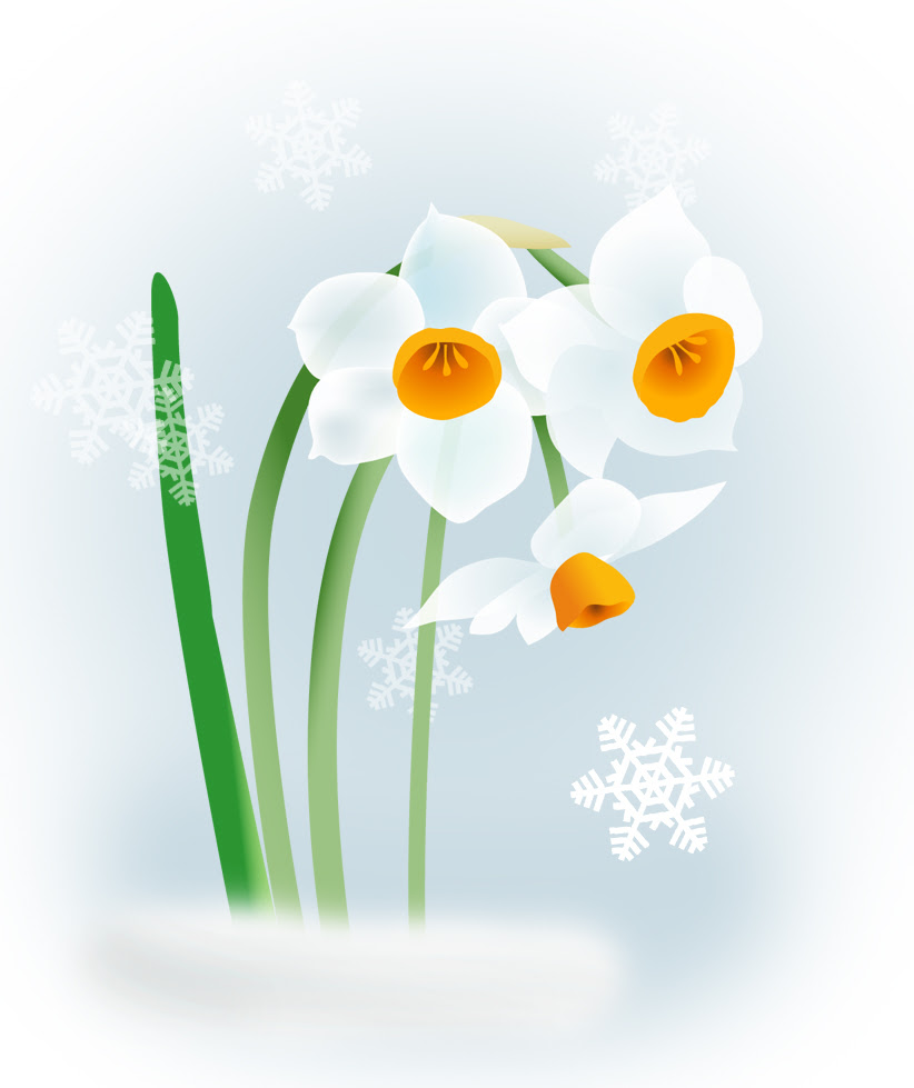 最高の動物画像 トップ100 冬の花 イラスト