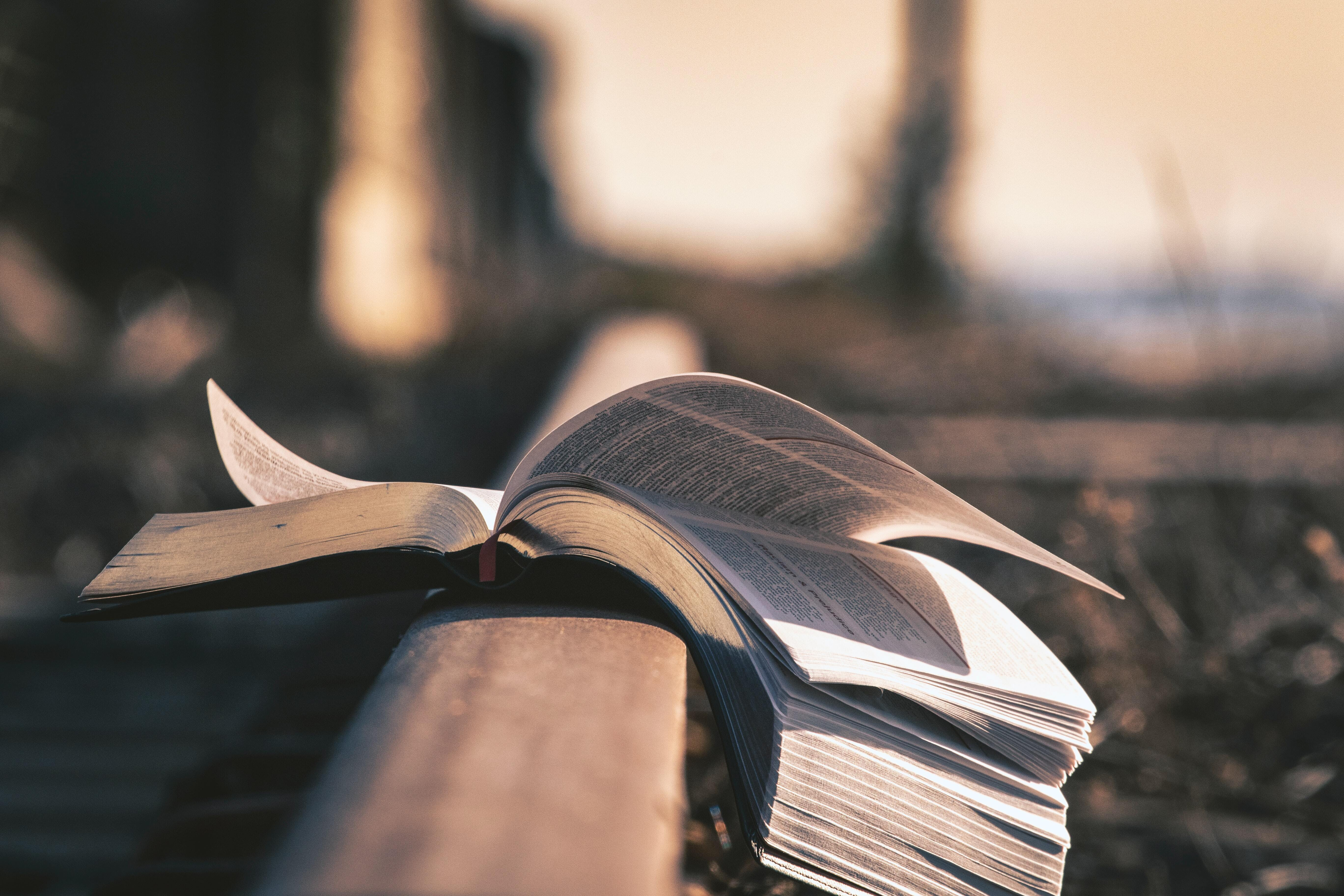 Photo of an open book resting on the ground, pages fluttering, on a sunny day.