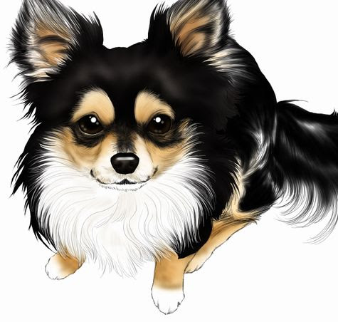 美しい花の画像 最新のhdチワワ イラスト 黒