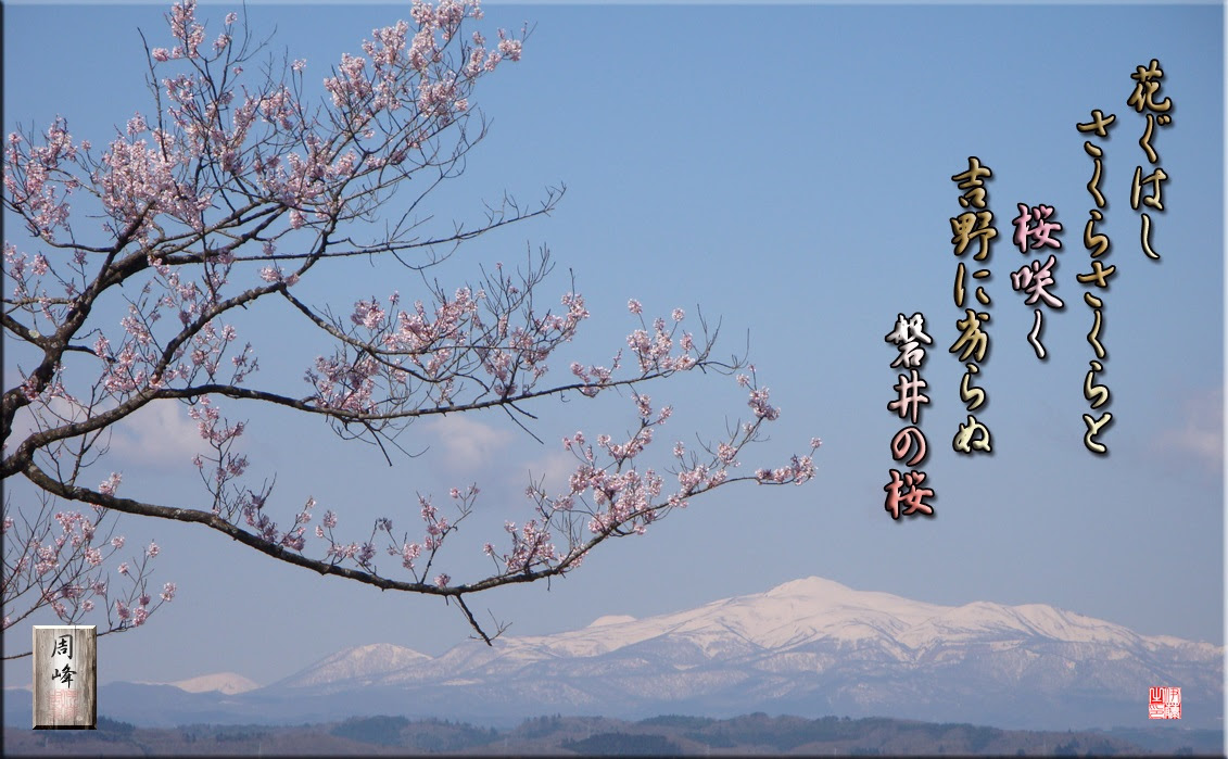 心に強く訴える桜 短歌 有名 すべての美しい花の画像