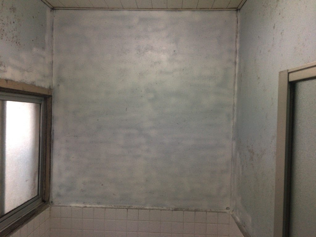 浴室 壁紙 Diy Interior