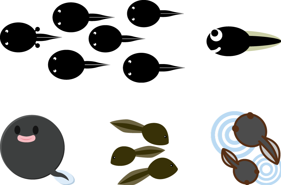 すべての動物の画像 最新のhdおたまじゃくし イラスト フリー