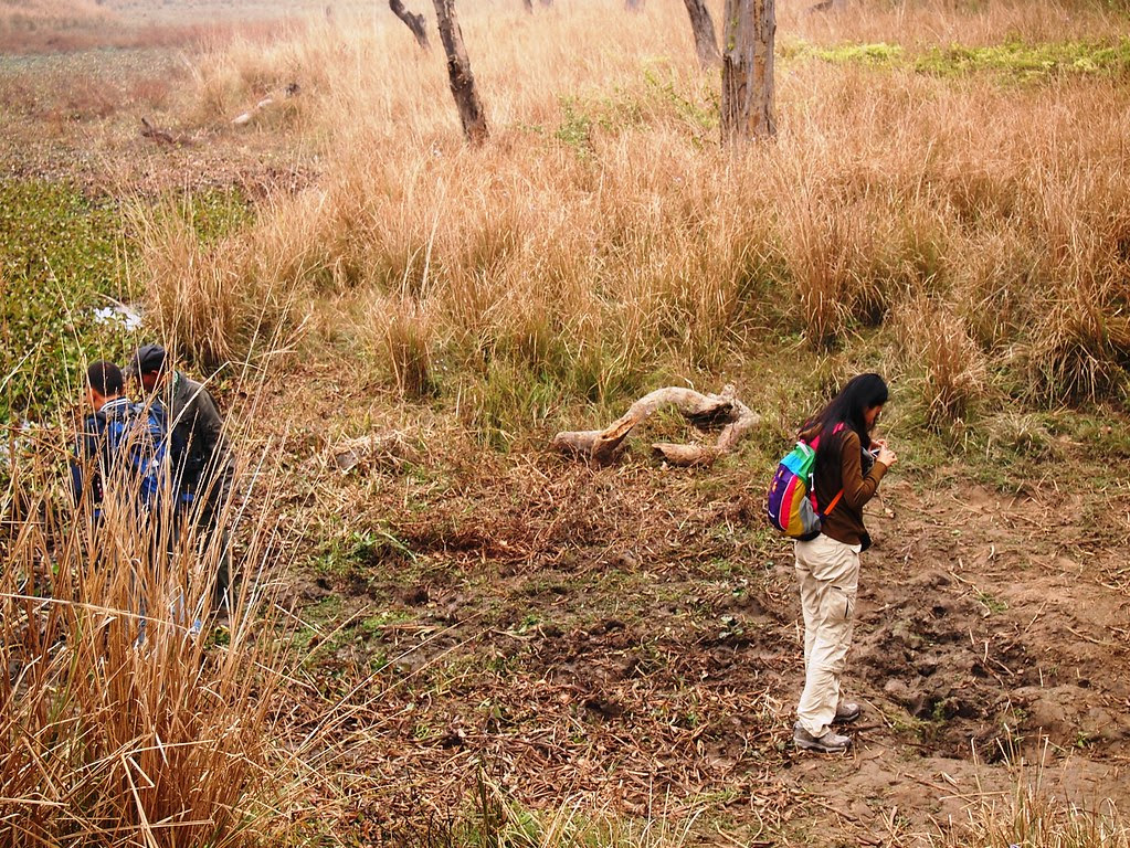 chitwan national park + elephant breeding center