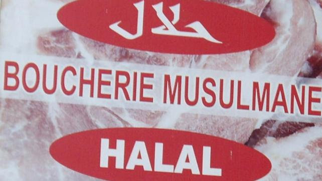 Forex Trading Halal Fatwa - Forex Gold Trader Ea
