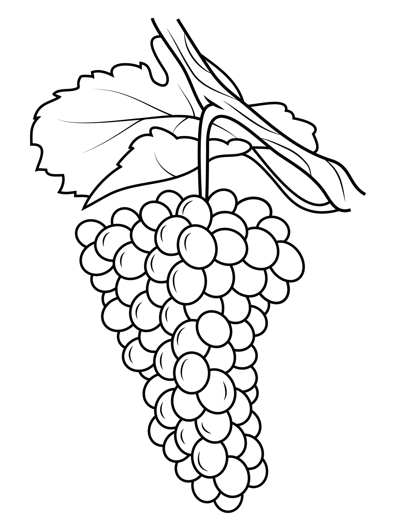 Grapes Vineyard Coloring Page - 280+ Crafter Files