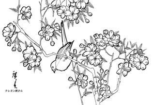 ほとんどのダウンロード 塗り絵 桜 Mokumokunjp