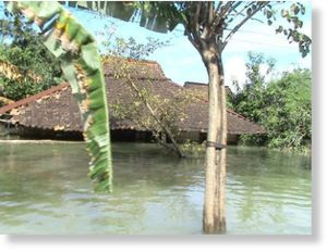 floods_in_Grobogan_2_indonesia.jpg