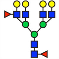 Representation of a glycan