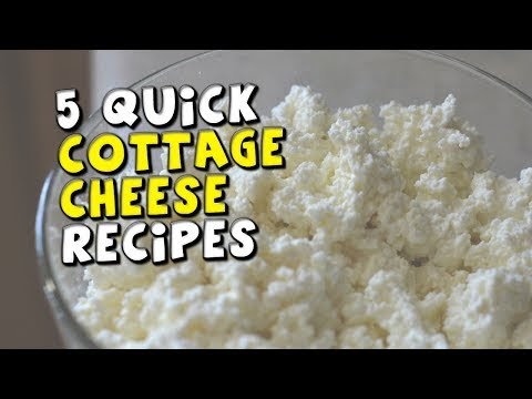 Cottage Cheese Recipes Bodybuilding Free Download Clips ...