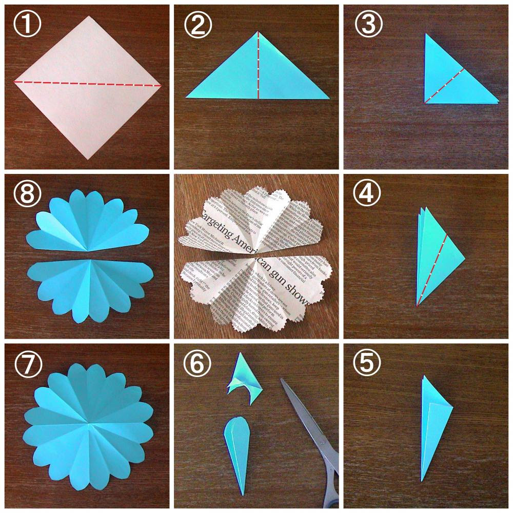 すべての美しい花の画像 最高の花 切り方
