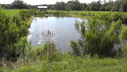 AGSWM retention pond