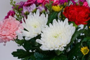 すべての美しい花の画像 無料ダウンロードお盆 お供え 花 種類