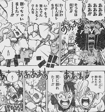 ワンピース きんえもん 悪魔の実