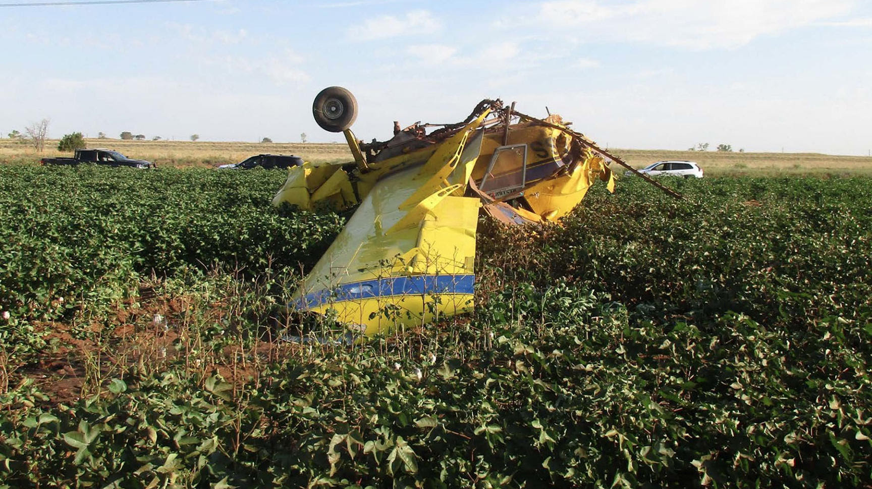 'Gender reveal' celebration in Texas led to plane crash