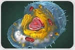 Metabolomic Profiling for Disease Diagnosis