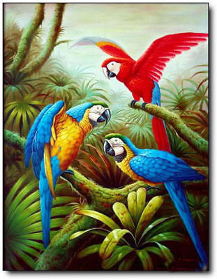 Inspirasi 36 Lukisan  Hewan Burung 