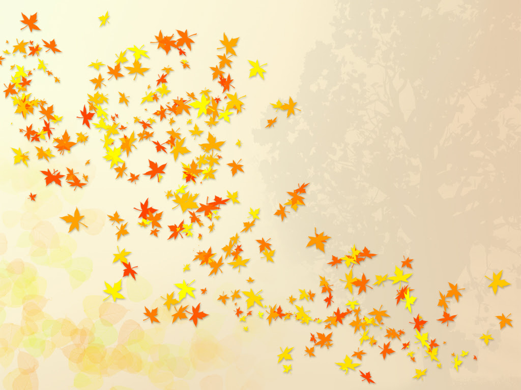 美しい花の画像 ベスト秋 壁紙 イラスト