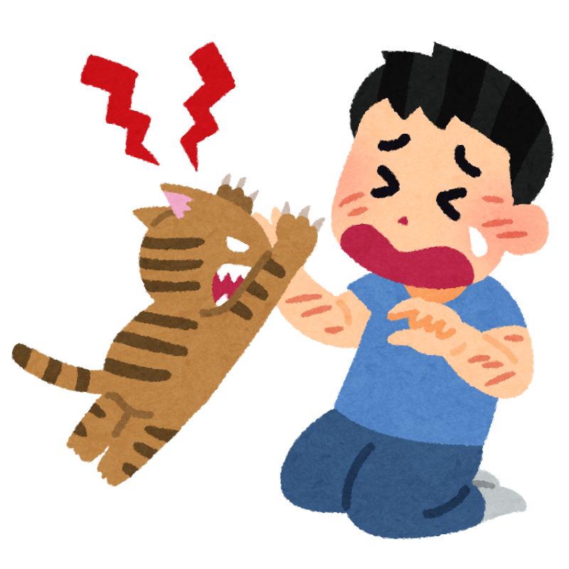無料でダウンロード ことわざ 猫を噛む 1752 ことわざ 猫を噛む