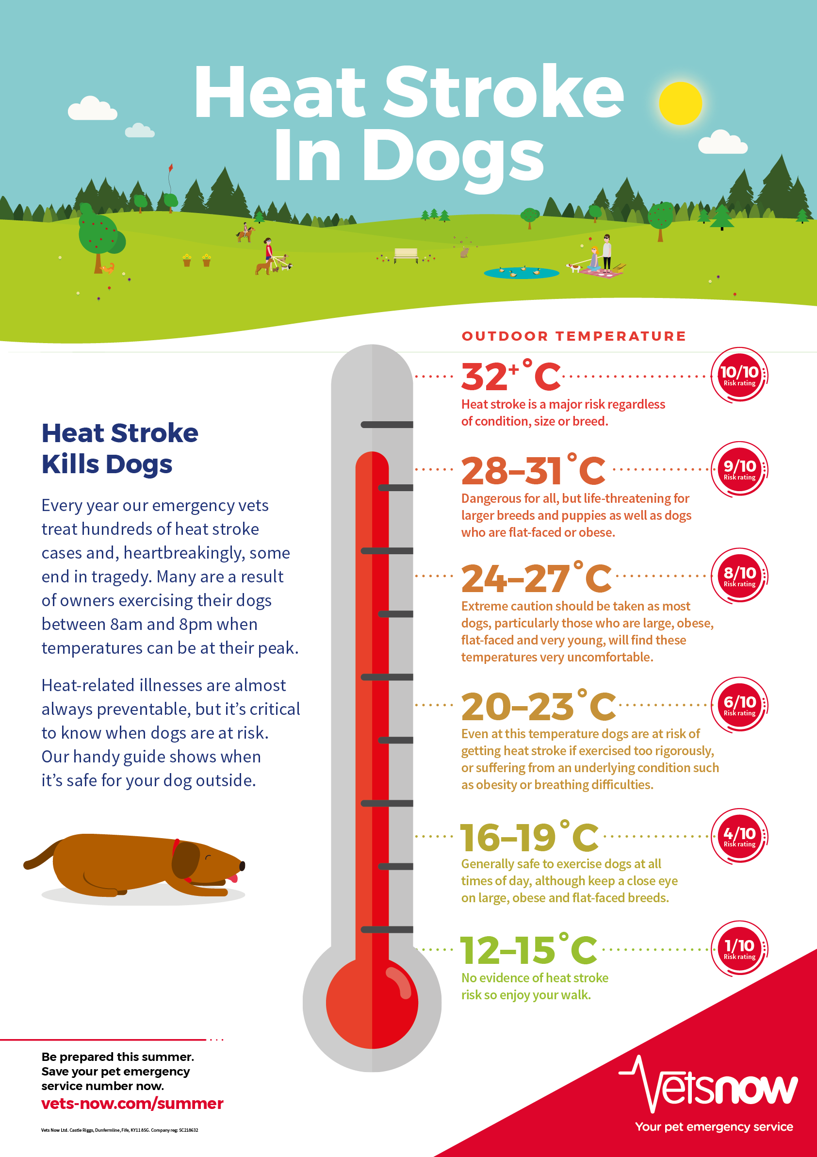 If you have a baby or small pet rectal thermometer, you can also take the kittens' temperatures. Dog Hot Weather When Is It Too Hot To Walk A Dog Vets Now