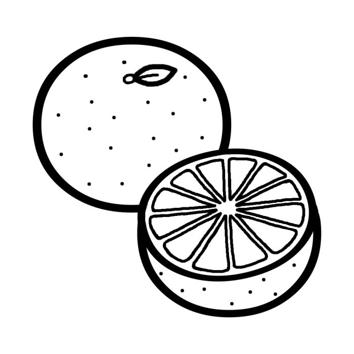 ユニークみかん イラスト 白黒 無料イラスト集