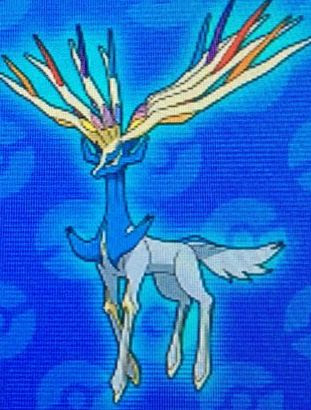 ポケモン 色違い ゼルネアス 100 で最高の画像